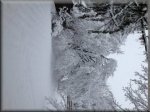SnowFDMB.JPG