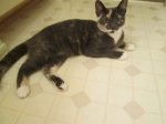 2-14-2014  Katie 010.JPG