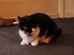 lip lickin' good.jpg