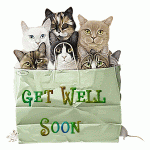 get well.gif