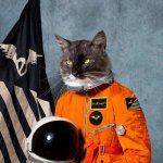 astronautcat.jpg