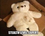Stealth kitten.jpg