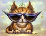 kitty wearing shades.jpg