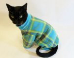 blue green sweater kitty.jpg