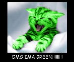 GreenCat.jpg