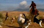 HerdingCats_opt2.jpg