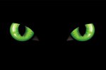 green eyed black cat.jpeg