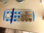 frozen_trays.jpg