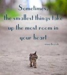 small things take up heart.jpg