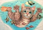 diving cat 2.jpg