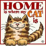 design_homeIs_cat_wh.jpg