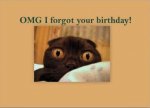 bday1.jpg