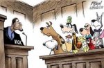 jury box dogs.jpg