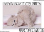 Kitty-Butt-cute.jpeg