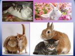 Happy Easter MB#3.jpg