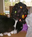 nekoegg1.jpg