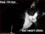 at-rises-but-will-not-shine1.jpg