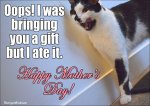 happy mothers day cat (Custom).jpg