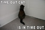 time out cat (Custom).jpg
