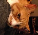 Eddie annoyed1.jpg