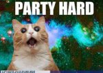 party hard.jpg