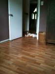 Floor.jpg