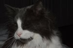 20130106_37 Resized.jpg