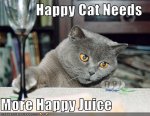 more-juice.jpeg