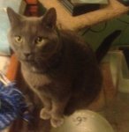 1-2012-01-17 20.09.50.jpg