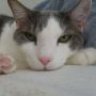 Heather_Mr.Tubs(GA)