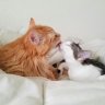 Ashley & Harry