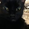 ssblackcat Sophia & Susan