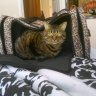 Tiggy&Mom