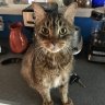 Caroline17