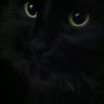 Felixou