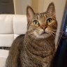 KattyKay