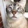 Frankie619