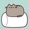 Marshmallow Cat