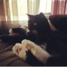Sabrina&Jackson
