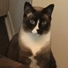 Jeff_Scar