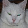 Sarah_and_Moggy
