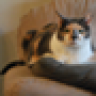 nalasmom