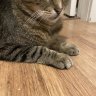 MumfsFriend