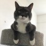 Merlin’sMama