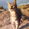 Granite's Servant