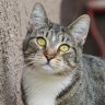 Tiggy's Mom