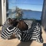 Tara and Bella