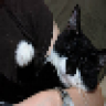 meredith