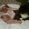 MJ and Gobnait