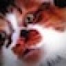 bassy